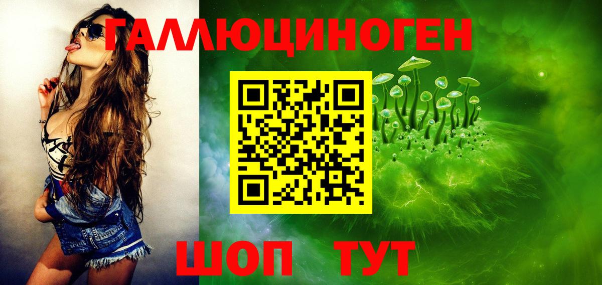 Галлюциногенные грибы Psilocybine cubensis  Вход с VPN  Новодвинск 